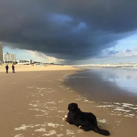 Beach Appartement *