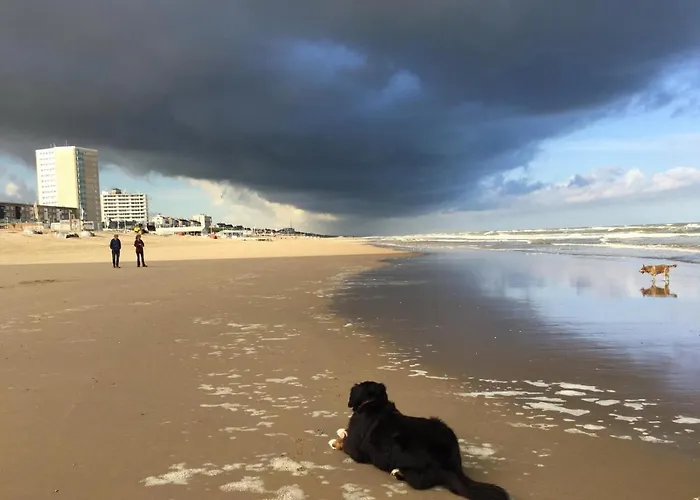 Beach Apartments Appartement *